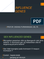1.17. Sex Influence Genes PDF