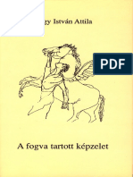 Nagy István Attila - A Fogva Tartott Képzelet