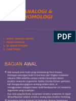 Analogi & Homologi