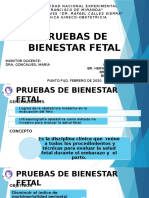 Bienestar Fetal