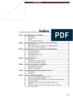 Minimanual - Endocrinologia.pdf