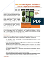 Azufre Como Nutriente y Agente de Defensa Contra Plagas y Enfermedades PDF