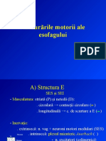 Tulburarile Motorii Ale Esofagului 2019+