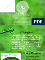 Fotosintesis, cHLOROPLAST kELOMPOK 2.pptx