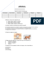 Examen - C - Naturales - CS2 - Primer Periodo