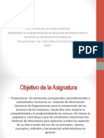 Presentación 1. Sistemas de Información Gerencial 25 de Marzo 2020 PDF