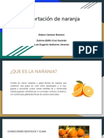 Presentacion de Comercio NARANJAS PDF