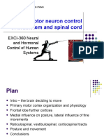 EXCI-360_UpperMotorNeuron_2020.pptx