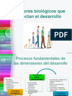 Factores Que Afectan El Desarrollo