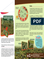 Alerta Menejo Arañita Roja PDF