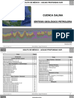 Sintesis Geologico Petrolero-CNH.pdf