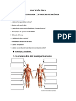 Ejercicios de Ed. Fisica 2