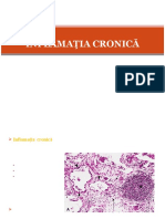 Curs 4 - Inflamatia Cronica - 2019-2020