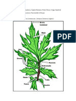 Botánica Espectrofotometría