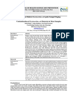 Kontaminasi Bakteri E.coli PDF