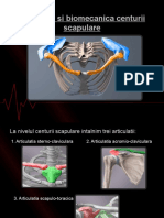 Anatomia Si Biomecanica Centura Scapulara Alex M.PPSX