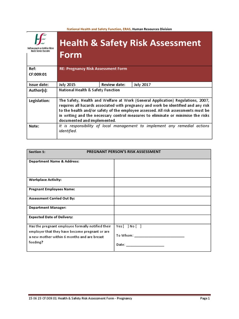 Pregnancy Risk Assessment Template | PDF | Occupational Safety And ...