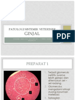 Patologi Sistemik Veteriner - Ginjal PDF