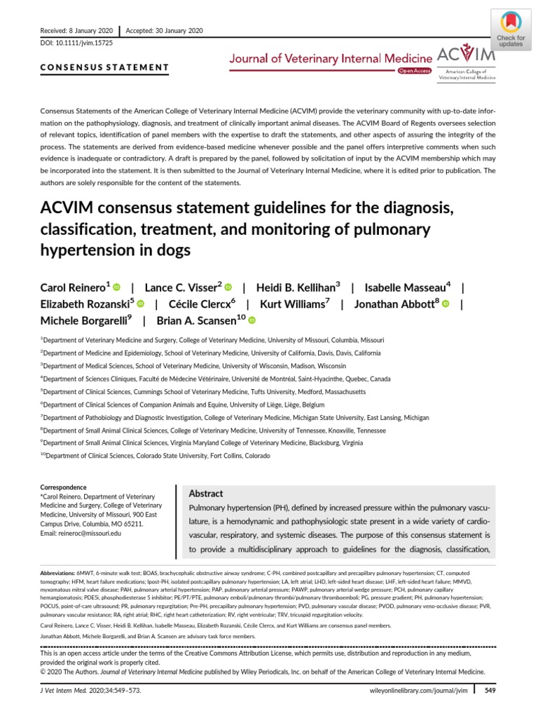 Jvim 15725 PDF | PDF | Circulatory System | Vein