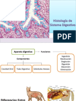 Histologadelsistemadigestivo 140928191255 Phpapp02