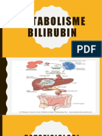 Metabolisme Bilirubin