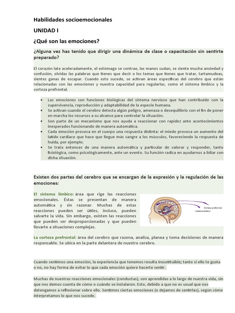 Curso de Habilidades Socioemocionales | PDF | Las emociones | Cerebro