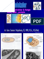 Konsep Dasar Biologi Molekuler