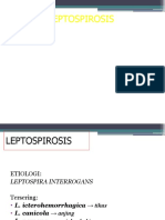 LEPTOSPIROSIS.pptx