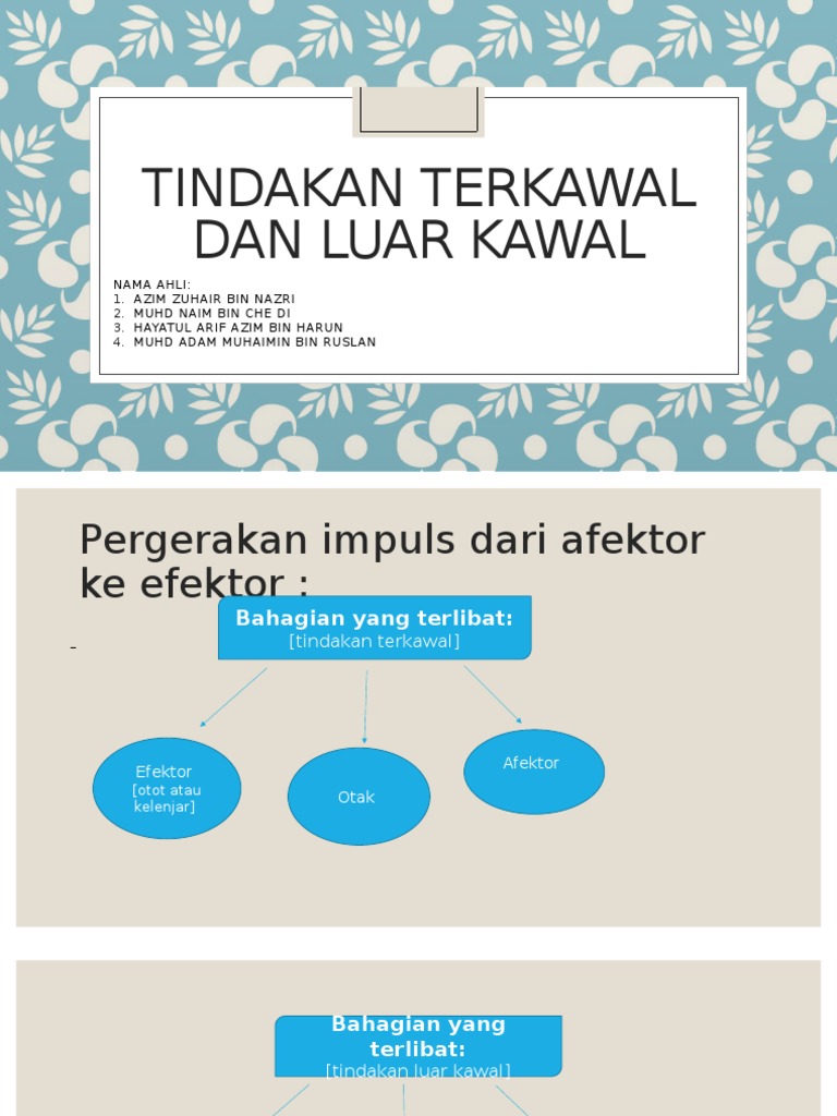 Stimulation And Response Pdf