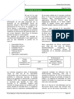 Direcciones Del Entrenamiento Deportivo Segunda Parte