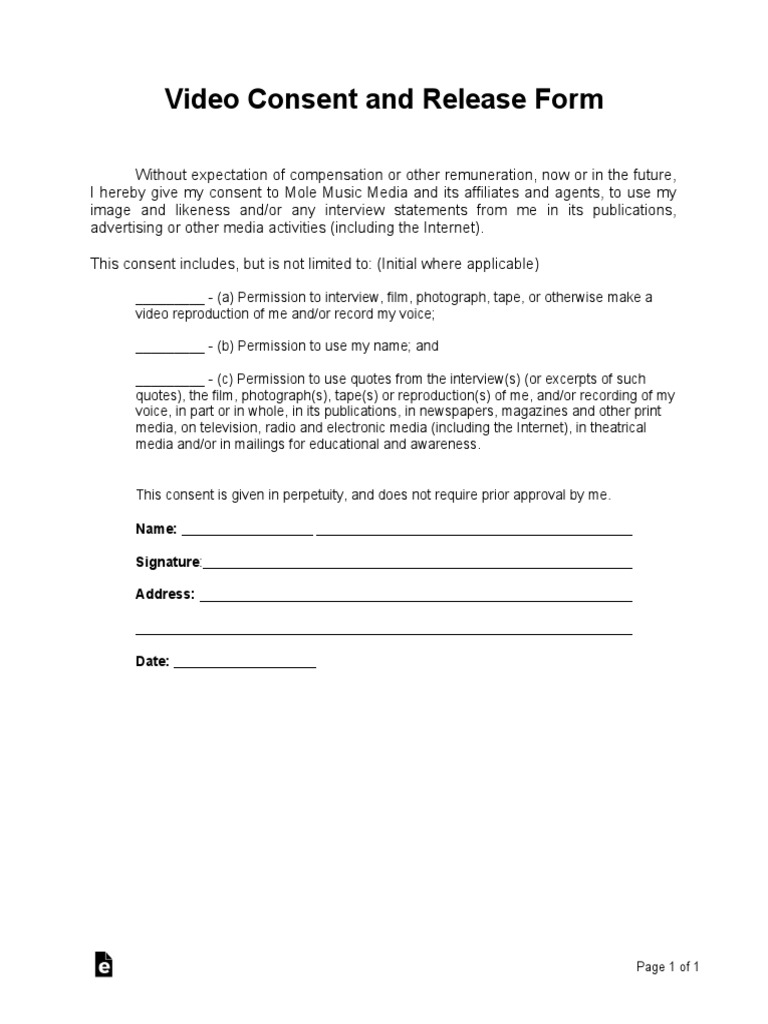 Video Consent and Release Form | PDF
