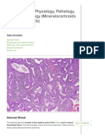 Adrenal Gland - Physiology, Pathology, and Pharmacology - Lecturio PDF