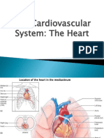 Bab 2 Anatomy-Physiology Cardiovascular - The Heart