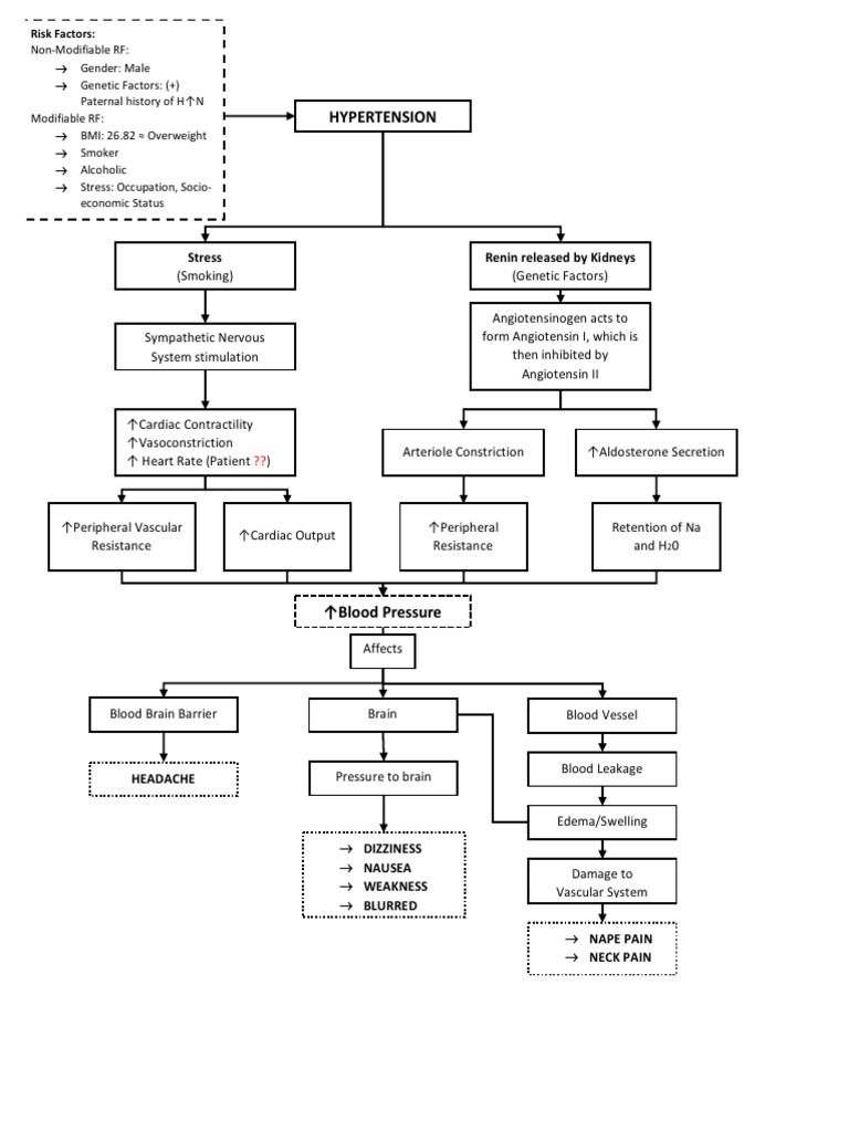 Hypertension Concept Map | PDF | Angiotensin | Physiology