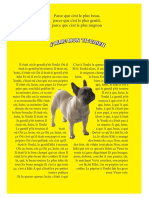 Emily petit chien projet.pdf