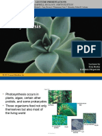 Photosynthesis Ch-10
