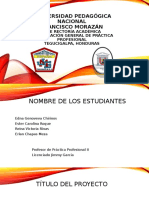 Perfil de Proyecto de Carrera Práctica Profesional 2