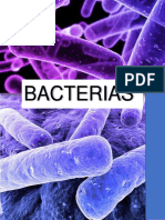 Bacterias