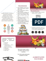 Triptico Isa PDF