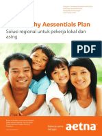 Indonesia Aessentials Indonesia Presale Brochure 46.06.101.1 ACA PDF