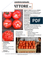 TomateTovattore PDF