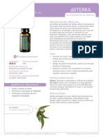 Aceite de Eucalipto Eucalyptus Oil