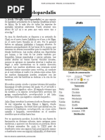 Jirafa | PDF | Vértebra | Corazón