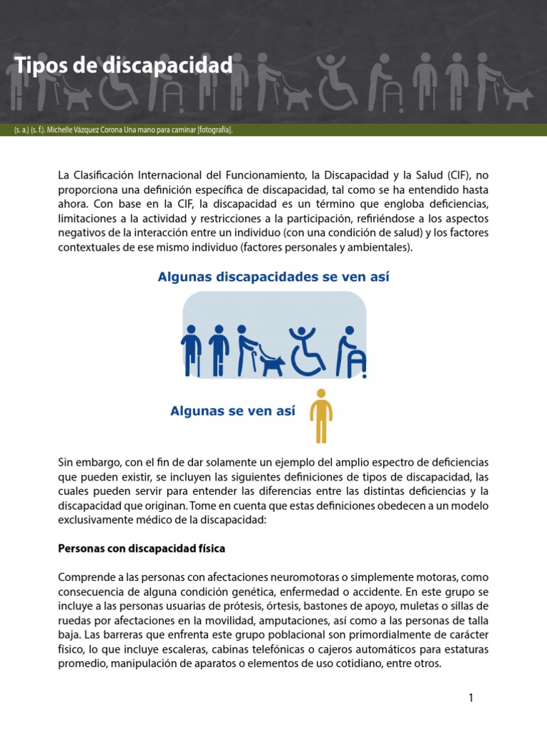 Tipos de Discapacidad | PDF | Invalidez | Convenio europeo de derechos ...