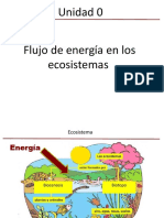 Biología 2° PPT Flujo de Energía