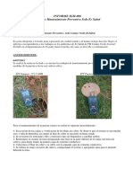 Informe Campo Verde PDF