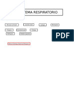 Sistema Respiratorio