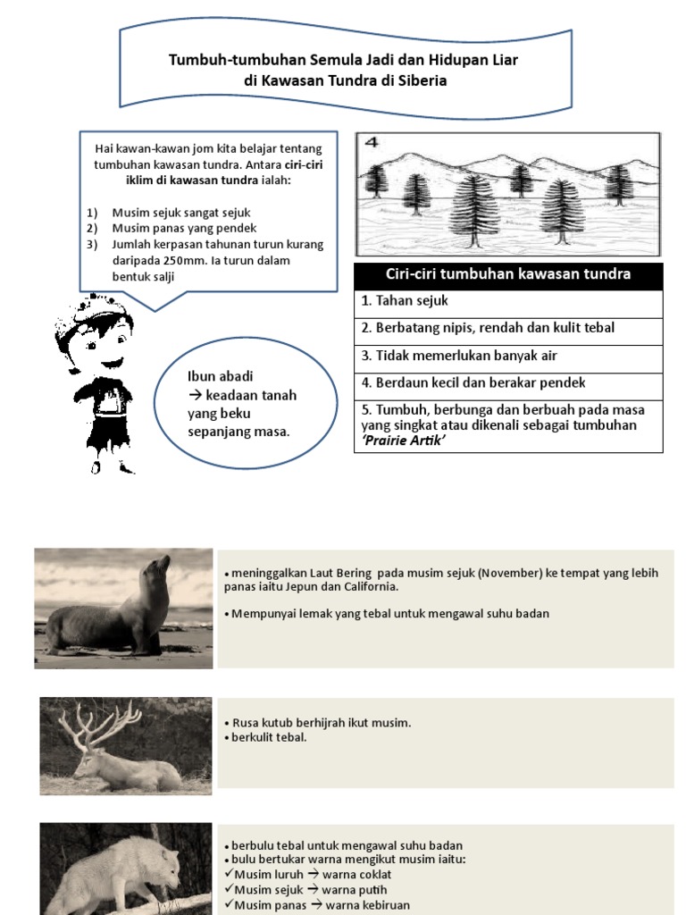 Bab 13 Factor Yang Mempengaruhi Pelbagai Jenis Tumbuhan Semulajadi Dan Hidupan Liar Pdf