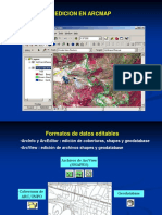 Edición en ArcMap PDF