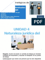 UNIDAD 4 Naturaleza juridica del despido  (1).pptx